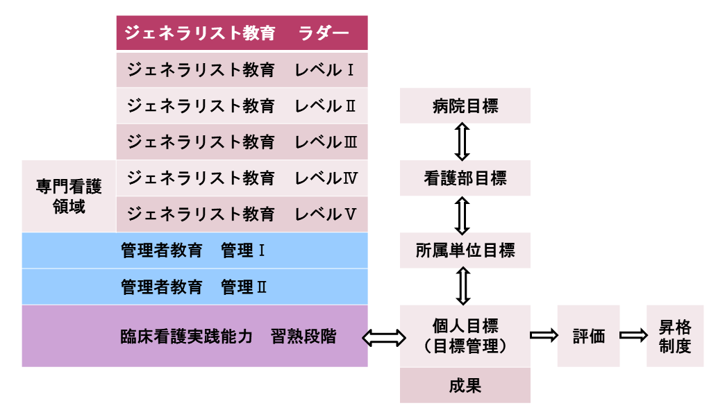 看護師の能力育成構成図